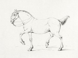 Stepping Horse (1775–1833) tekijältä Jean Bernard
