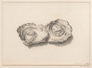 Kaksi avattua osteria tekijältä Jean Bernard