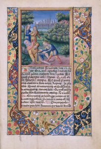 neiti Lat. Q.v.I.126 fol.17 The Drunkenness of Nooan, Louis dOrleansin tuntien kirjasta, 1490 tekijältä Jean Colombe