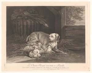 Bracke-hond met jongen in een stal Braque-koira koko perheensä kanssa. (otsikko esineessä) tekijältä Jean Daullé