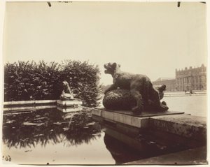 Versailles, Fontaine du Point du Jour, (Tigre Terrassant un Ours by Houzeau) tekijältä Jean Eugène Auguste Atget