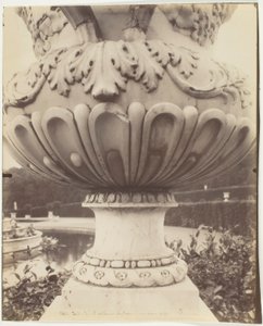 Versailles, maljakko tekijältä Jean Eugène Auguste Atget