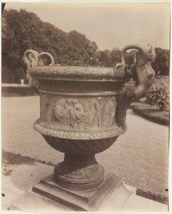 Versailles, Ballinin maljakko tekijältä Jean Eugène Auguste Atget