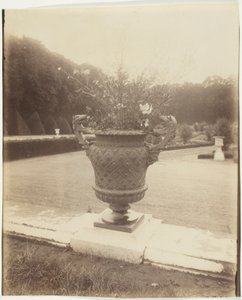 Versailles, Ballinin maljakko tekijältä Jean Eugène Auguste Atget