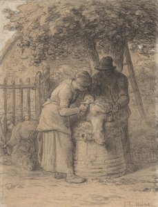 Sheepshearing Beeath a Tree, n. 1854 (conté värikynä kynällä ja ruskealla musteella ja guassilla paperilla) tekijältä Jean Francois Millet