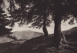 Rigi Staffel, kävele Staffelin lähellä (m/w kuva) tekijältä Jean Gaberell