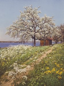 Sveitsi: toukokuun aika (värikuva)