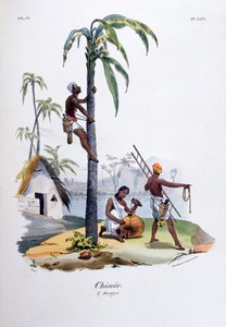 Chanar, 1828 tekijältä Jean Henri Marlet
