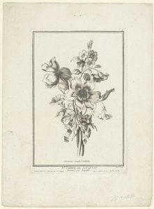 Kimppu anemonea ja sideruohoa Anemones simples, Volubilis (otsikko esineessä) IIe Cahier de Bouquets (sarjan nimi) tekijältä Jean Jacques Avril (I)