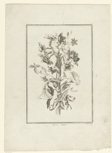 Kimppu narsissia ja sideruohoa Narcissus, Volubilis (otsikko esineessä) IIe Cahier de Bouquets (sarjan nimi) tekijältä Jean Jacques Avril (I)