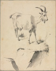 Tutkimus vuohista, 1700-luku. tekijältä Jean Jacques de Boissieu