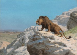 Leijona vahdissa, noin 1885 (öljy puupaneelille). tekijältä Jean Leon Gerome