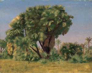 Palmujen tutkimus tekijältä Jean Leon Gerome