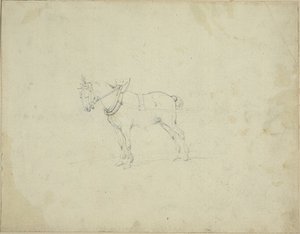 Vetohevonen tekijältä Jean Louis André Théodore Géricault