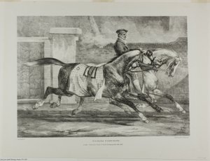 Hevoset harjoittelemassa, levy 6 eri aiheista, jotka on piirretty elämästä ja kivestä (The English Suite). tekijältä Jean Louis André Théodore Géricault