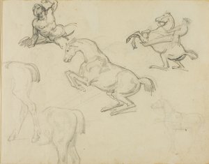 Luonnoksia: Hevosmies ja erilaisia hevosia. tekijältä Jean Louis André Théodore Géricault