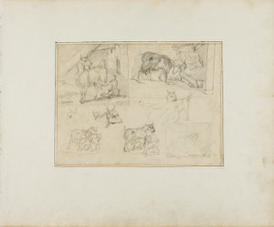 Luonnoksia vuohista tekijältä Jean Louis André Théodore Géricault