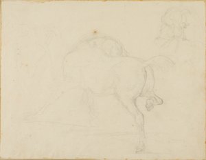 Tutkimus hevosesta, joka kääntää päätään ja nostaa takajalkaansa. tekijältä Jean Louis André Théodore Géricault