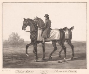 Ratsastaja seuraa kahta hevosta Chevaux de Carosse (otsikko esineessä) tekijältä Jean Louis Darcis (attributed to)