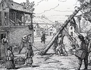 Maypolen istutus