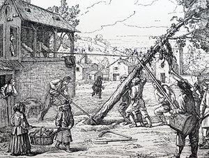 Maypolen istutus