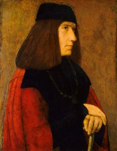 aKultaisen fleecen ritari, n. 1495.