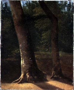 Study of Trees, n. 1815 (öljy paperille) tekijältä Jean Victor (attr. to) Bertin