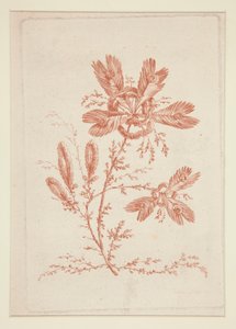 Nimetön (Ideal Flowers), kuuden kappaleen sarjasta