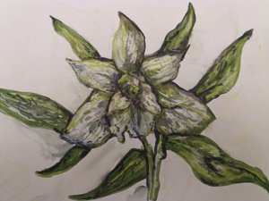 Grüne Orchidee tekijältä Jeannette Stein
