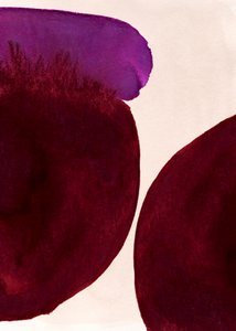 Luonnonmukaiset purppuranväriset pesuaineet tekijältä Jenja Braun