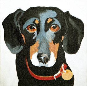 Buster, 2012 (akryyli kankaalle)