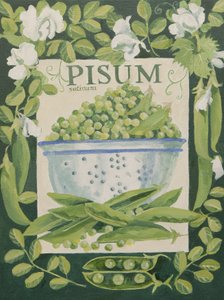 Pisum, Herneet (akryyli) tekijältä Jennifer Abbott