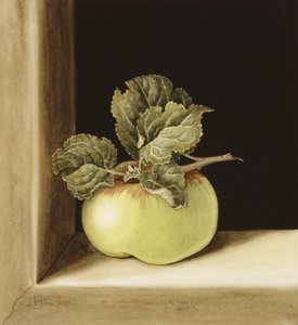 Apple (wc paperilla)