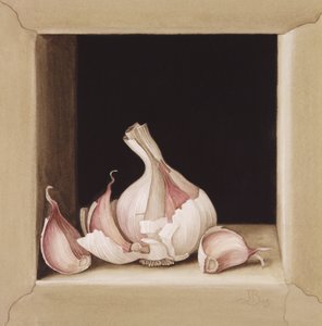 Valkosipuli, 2005 (wc paperilla)