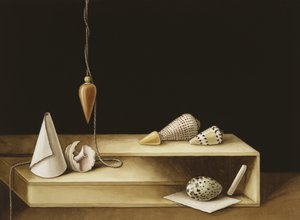Optinen illuusio, 2005 (wc paperilla)