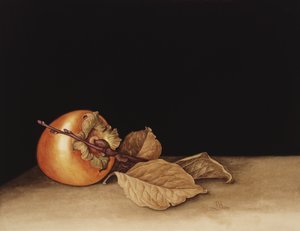 Kaki, 2004 (wc paperilla)