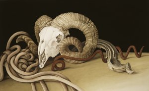 Vanitas, 2004 (wc paperilla)