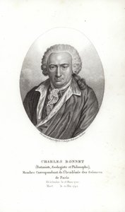 Charles Bonnet tekijältä Jens Juel