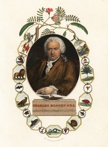 Geneven luonnontieteilijä Charles Bonnet