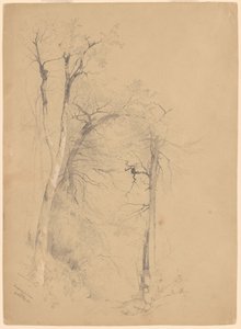 Kaaterskill neilikka tekijältä Jervis McEntee