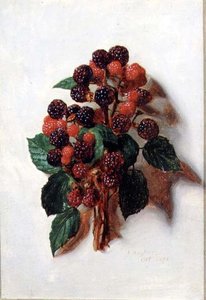 lokakuu (kahdentoista sarjasta)