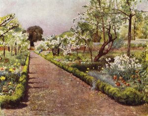 Fulham, The Flower Walk in the Walled Garden (väri litho)