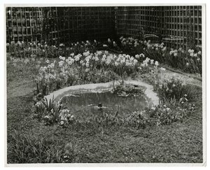 Garden of Mr & Mrs Wm H Wells 265 W 11th St, New York, USA tekijältä Jessie Tarbox Beals