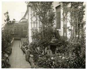 Rouva Regina Jaisin puutarha, n. 1936-37 (gelatiinihopea valokuva) tekijältä Jessie Tarbox Beals