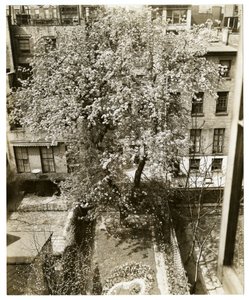 Mrs W H Wells 265 W 11th tekijältä Jessie Tarbox Beals