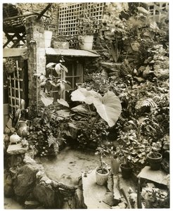 Allas, jossa on terassi George ja Mary Stonehillin koti, Greenwich Village, New York, USA, n. 1936-37 (gelatiinihopeakuva) tekijältä Jessie Tarbox Beals