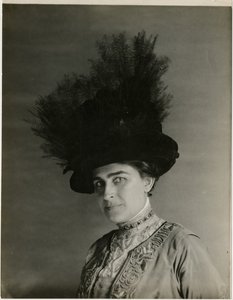 lähikuva höyhenhatusta, n. 1905-1918 (gelatiinihopea kuva) tekijältä Jessie Tarbox Beals