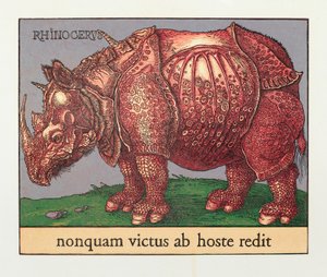 Red Rhino, 2007 (puupiirros) tekijältä Jim Monson