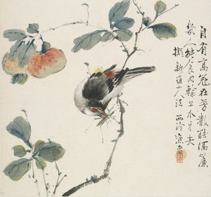 Kiinalainen Hwamei syö heinäsirkkaa, 1857