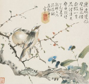 Kiinalainen Bulbul-lintupari, 1857